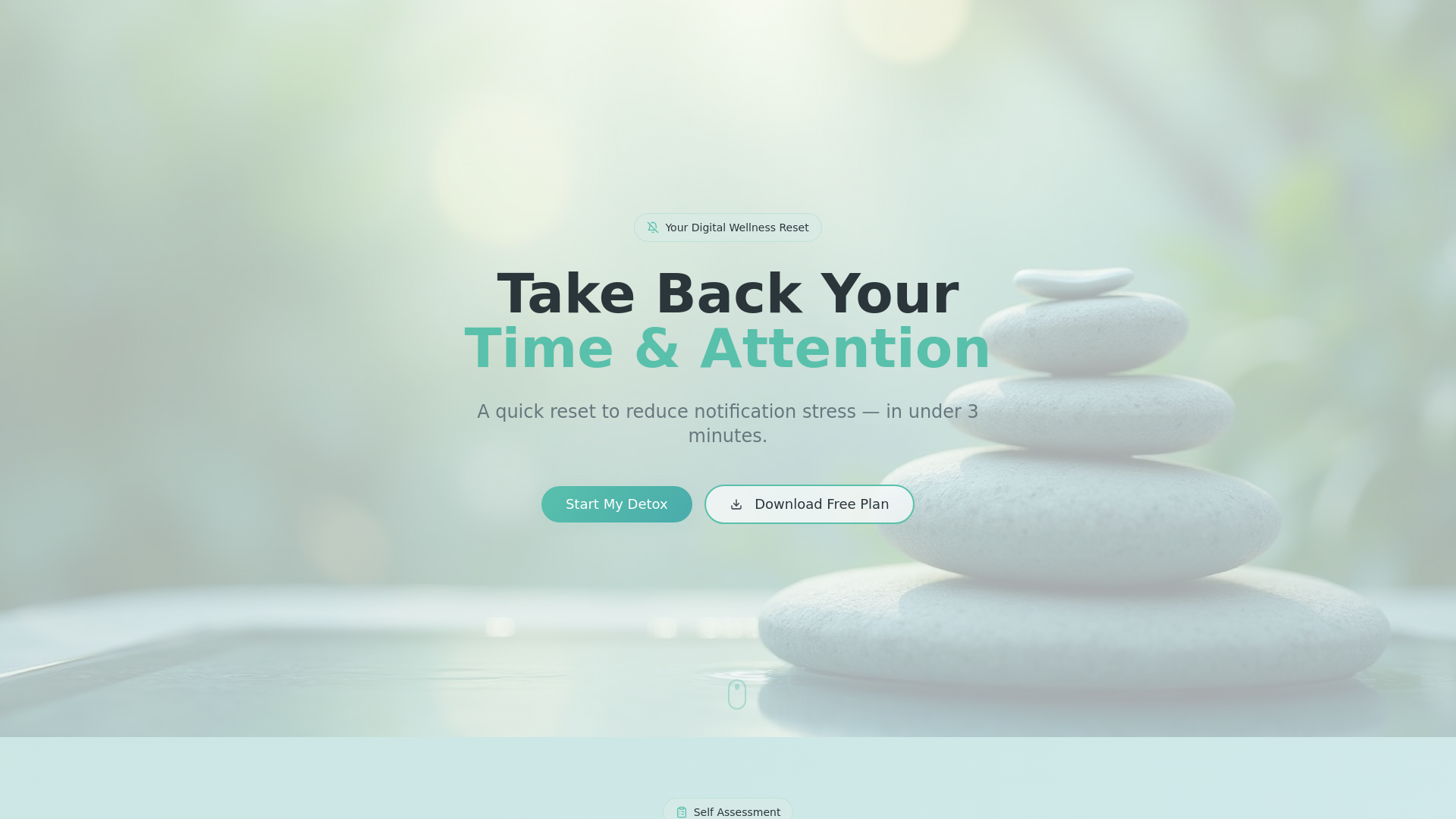 Notification Detox Toolkit - Main screenshot showing features and interface