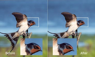 Image Upscaler gallery image