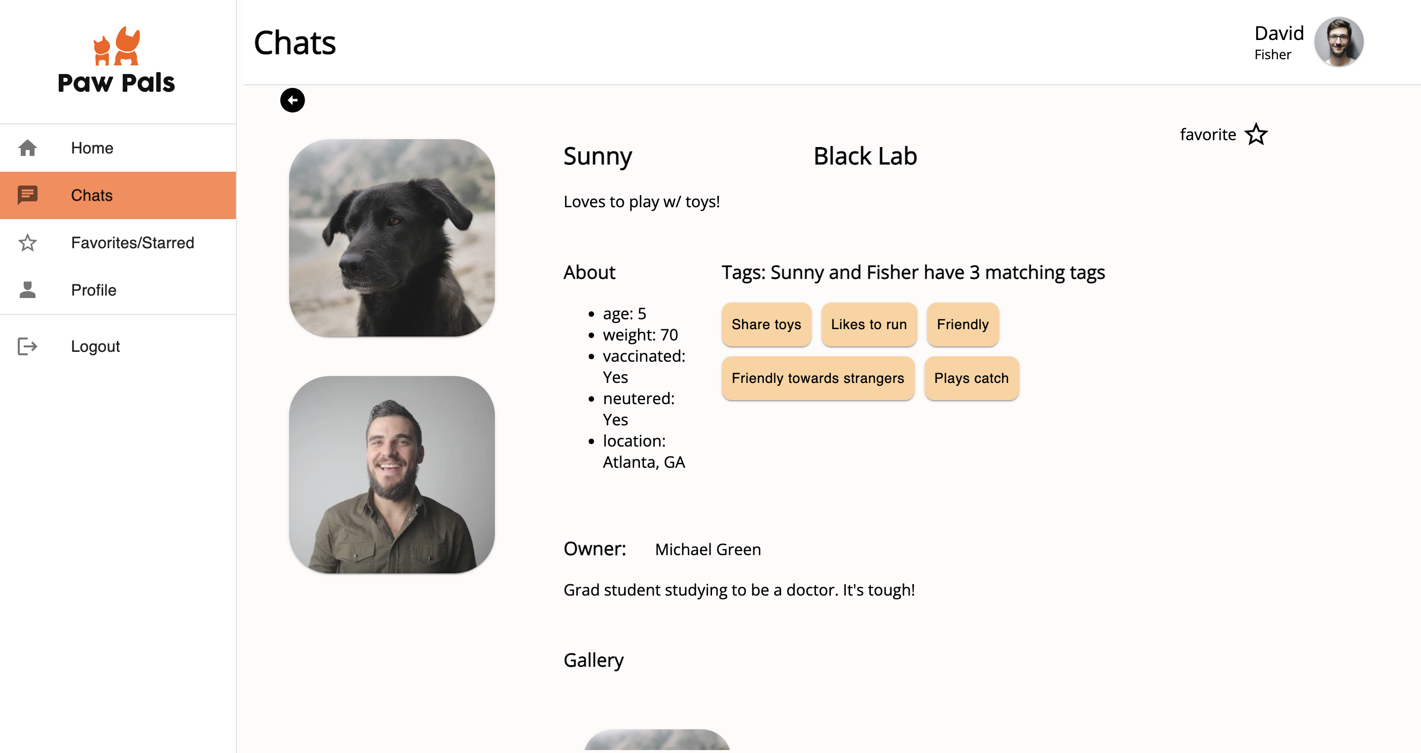 pawpals media 1