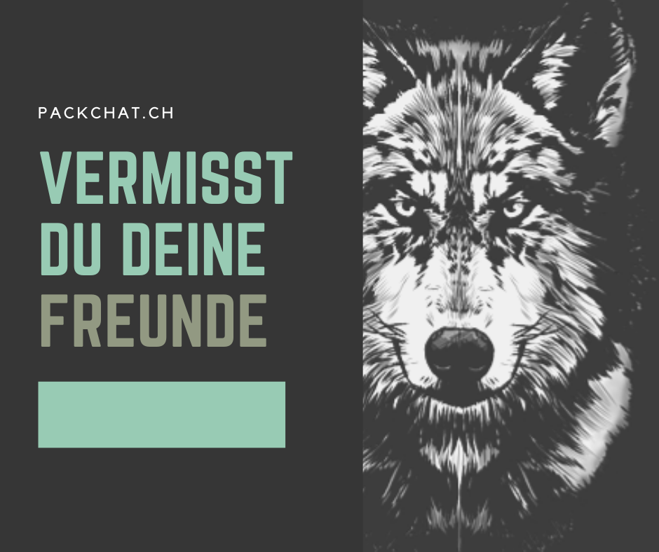 PackChat - Social Bounding