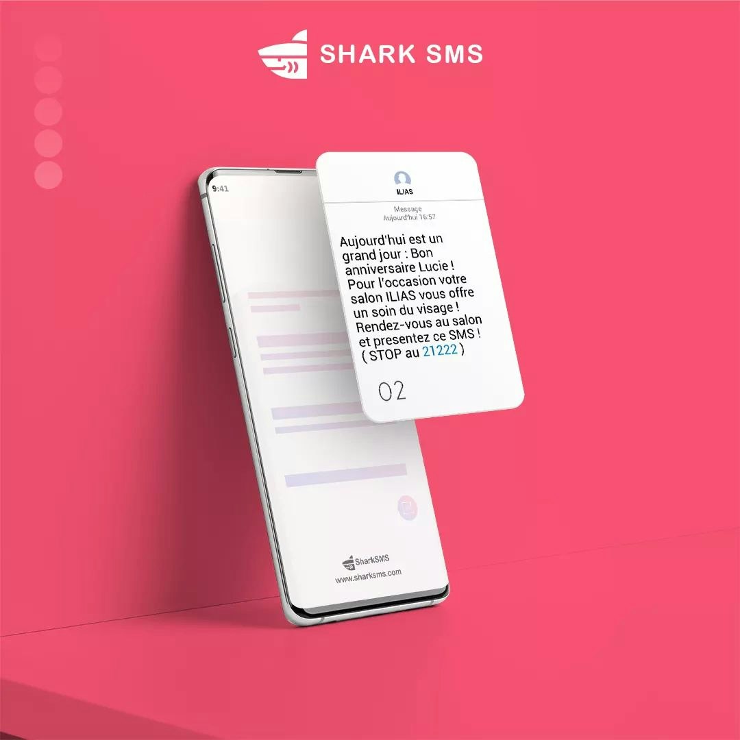 Turn your smartphone to Bulk SMS server gallery image