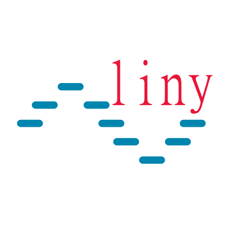 Liny VPN MVP
