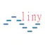 Liny VPN MVP