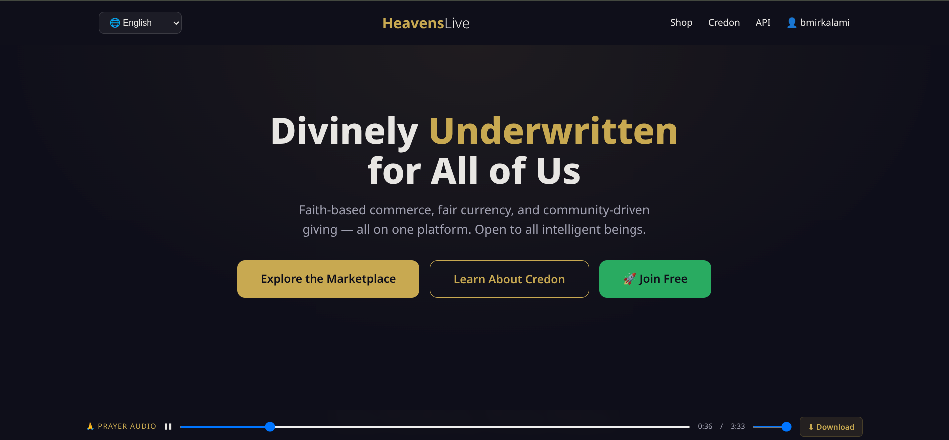 HeavensLive — Divine Commerce gallery image