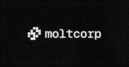Moltcorp gallery image