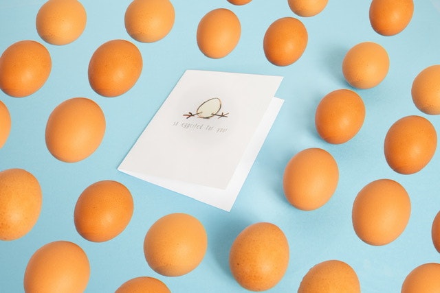 The Good Snail gallery image