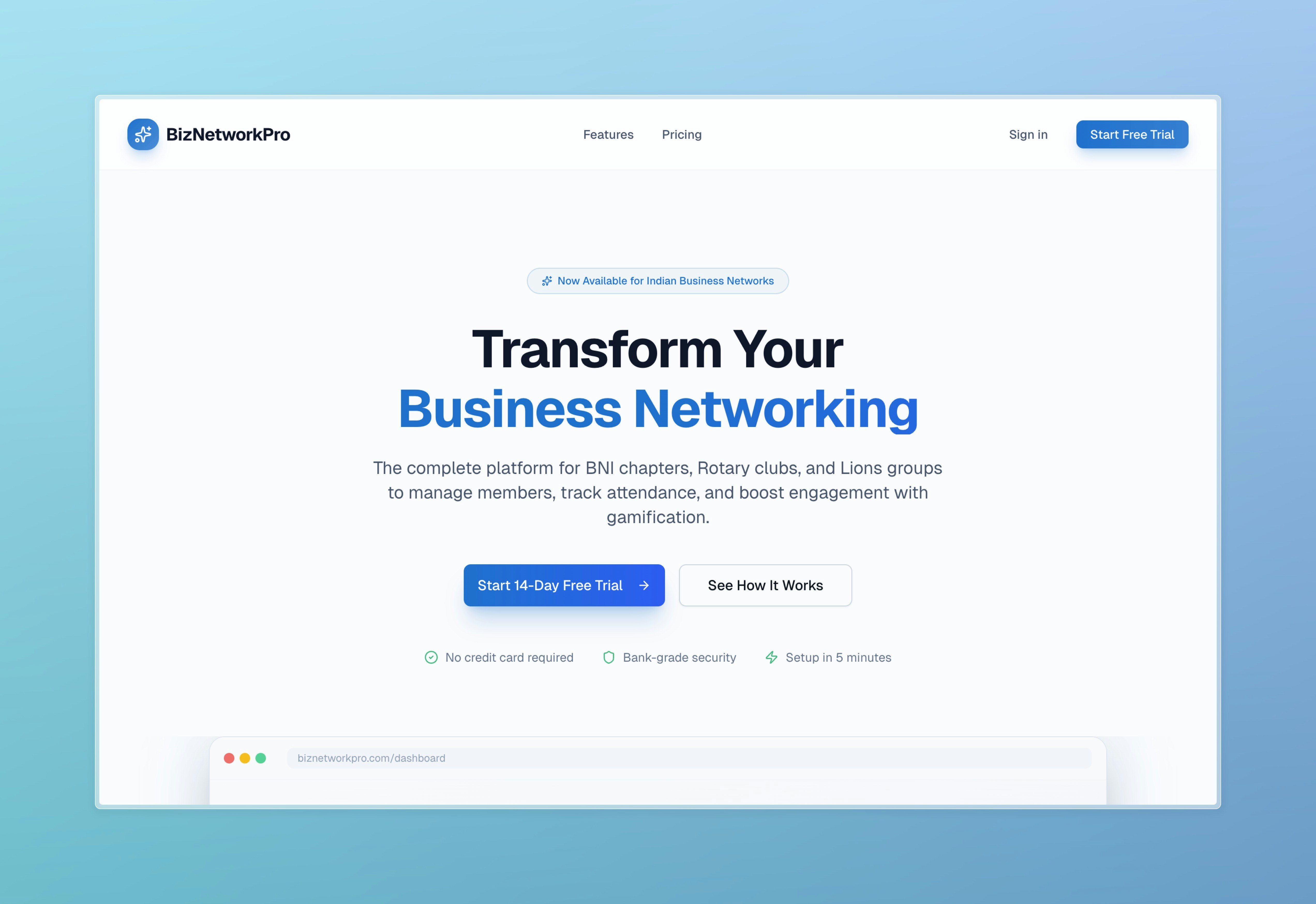 BizNetworkPro gallery image