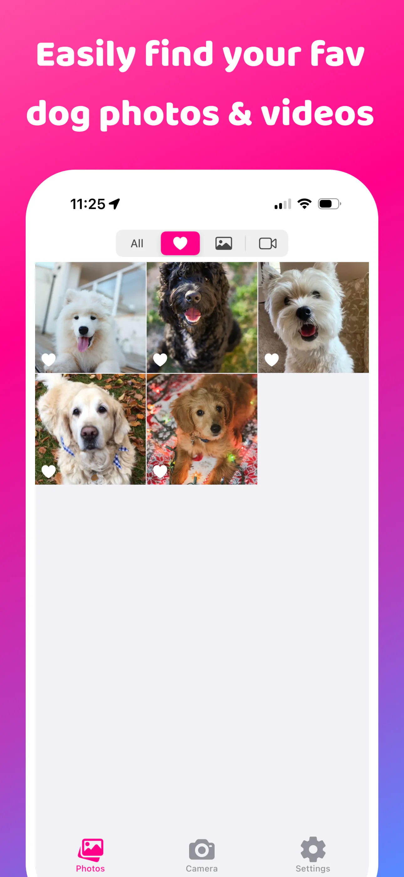 DogCam - Dog Selfie Camera gallery image