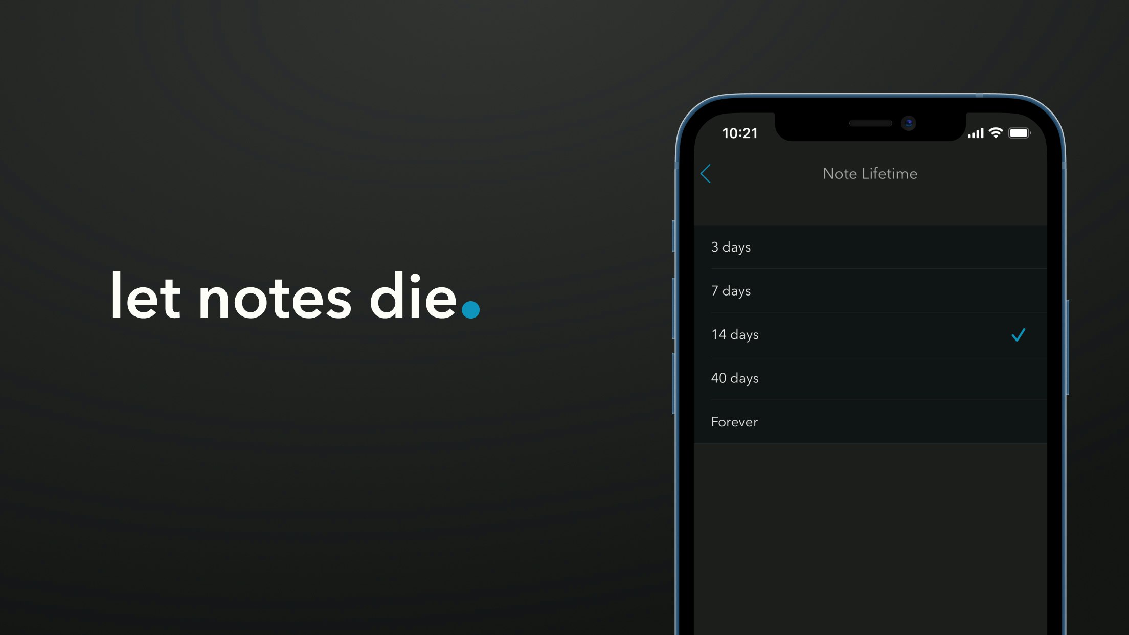 Minimal gallery image