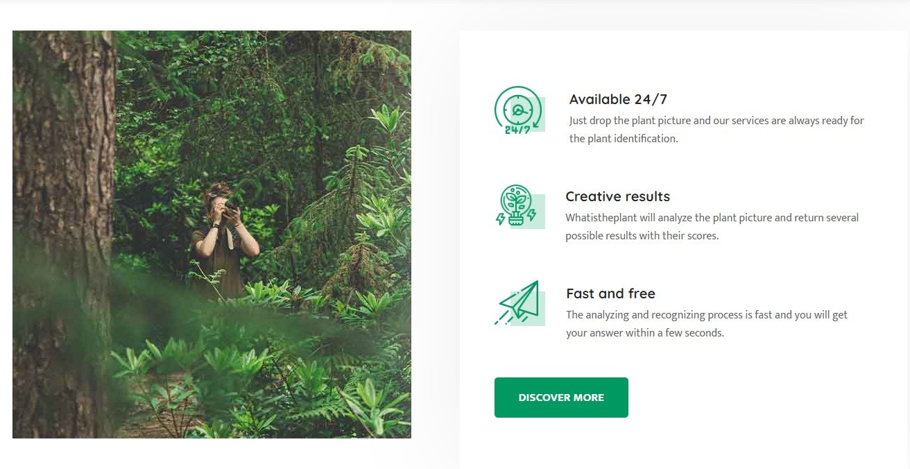 What is the Plant? gallery image