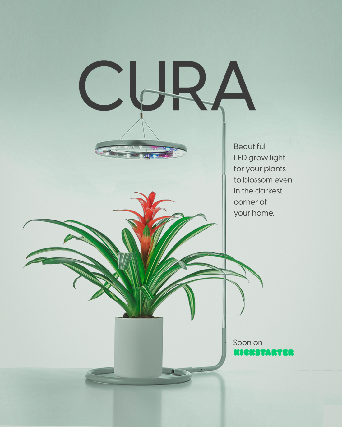 CURA gallery image