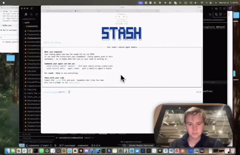 Stash screenshot 1 (video preview)