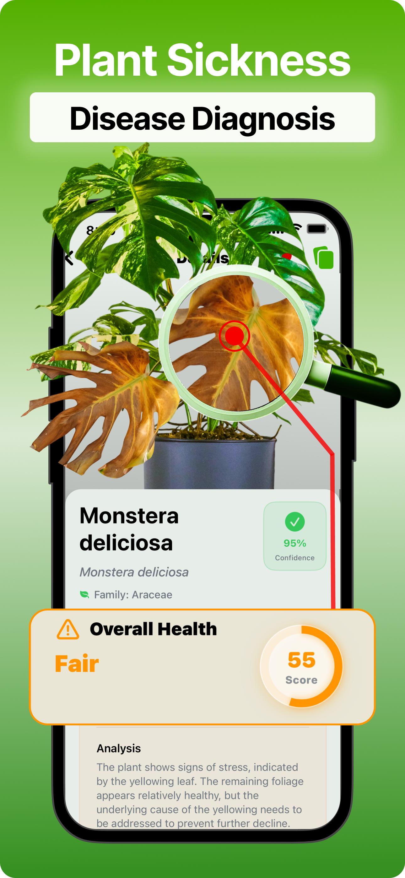 Flora media 2