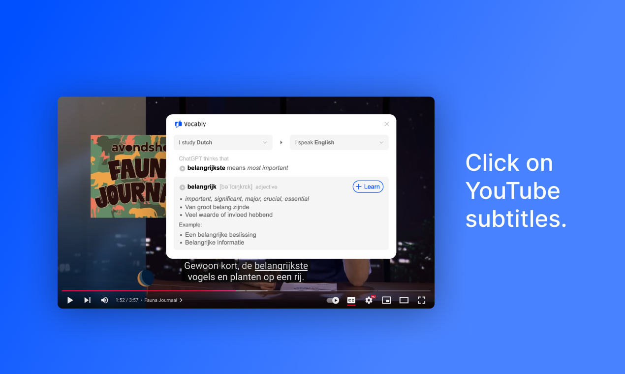 Vocably (a language-learning tool) gallery image