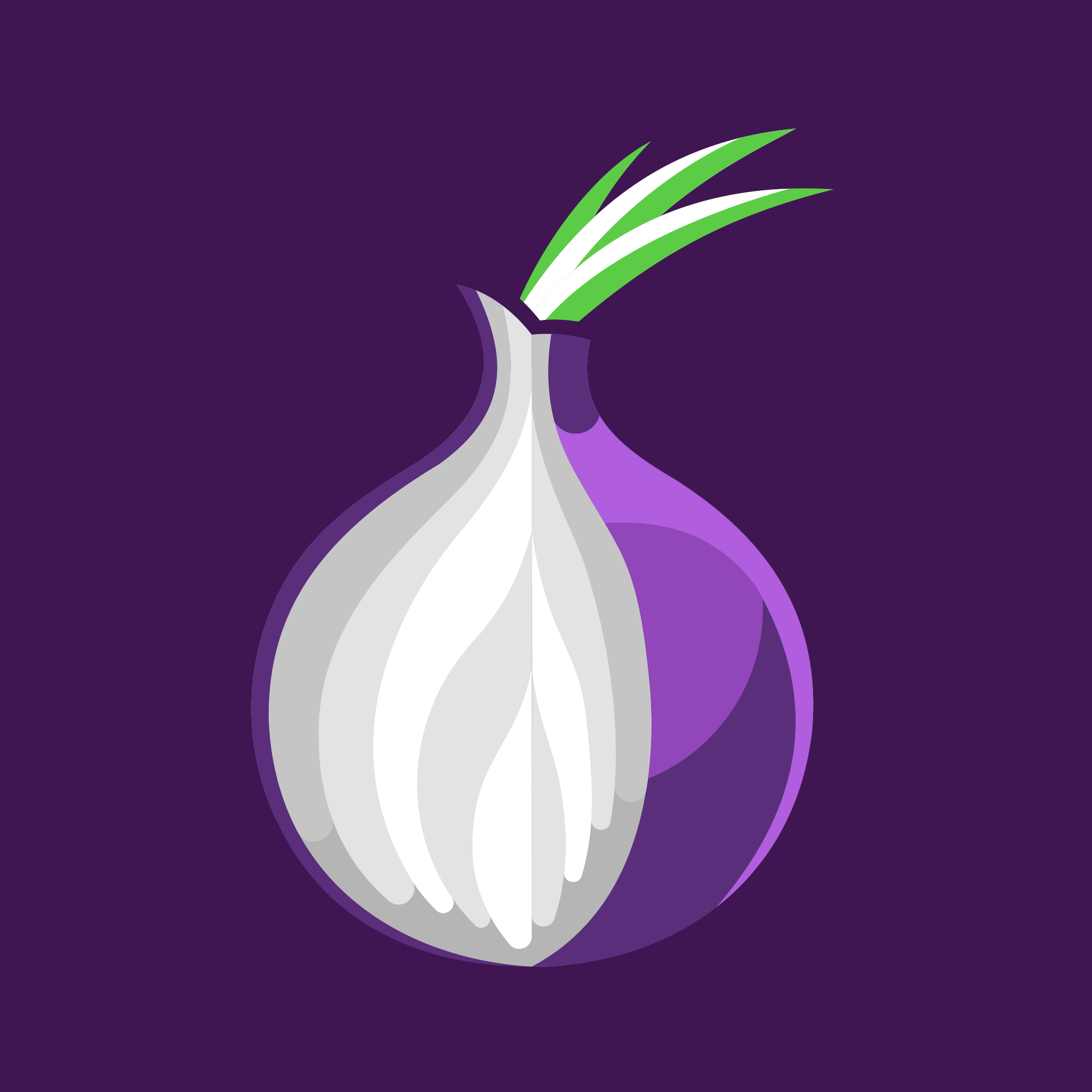Tor Browser Private Web + VPN