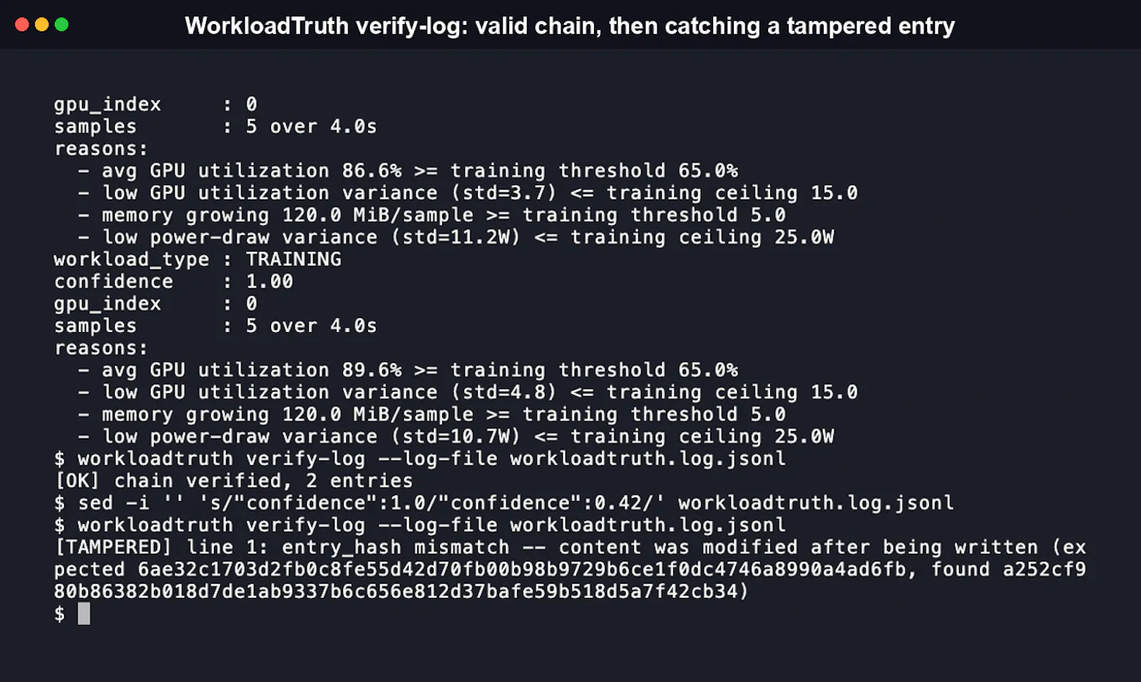 WorkloadTruth screenshot 4