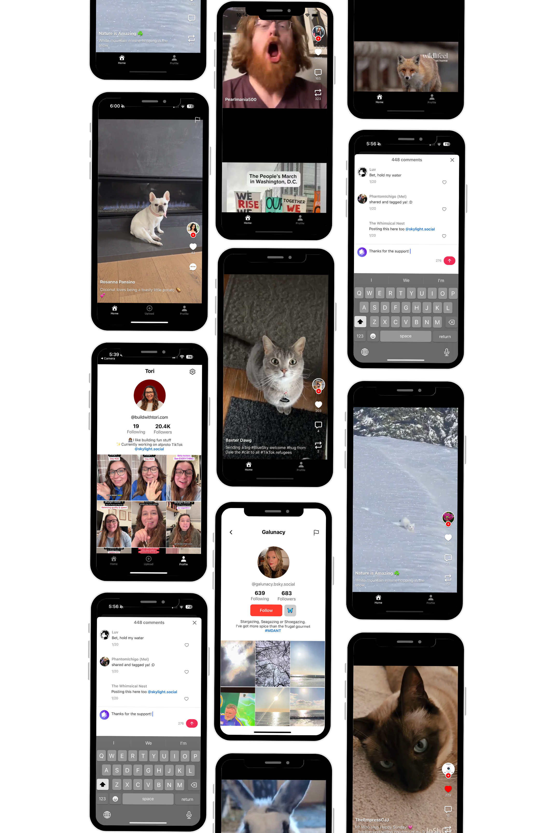 Puits de lumière social media 6