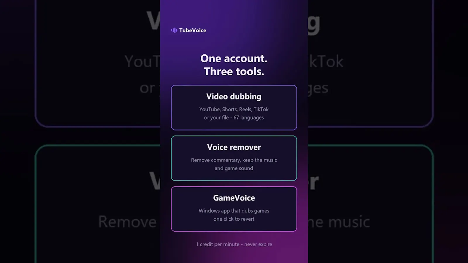 TubeVoice screenshot 1 (video preview)