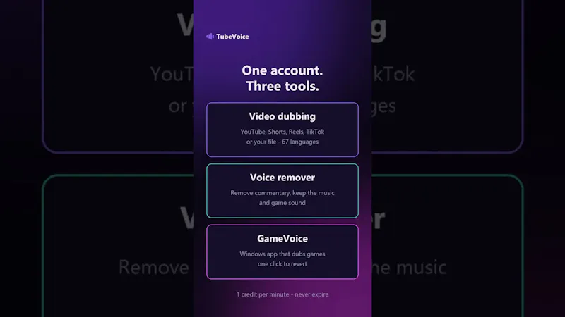 TubeVoice screenshot 1 (video preview)