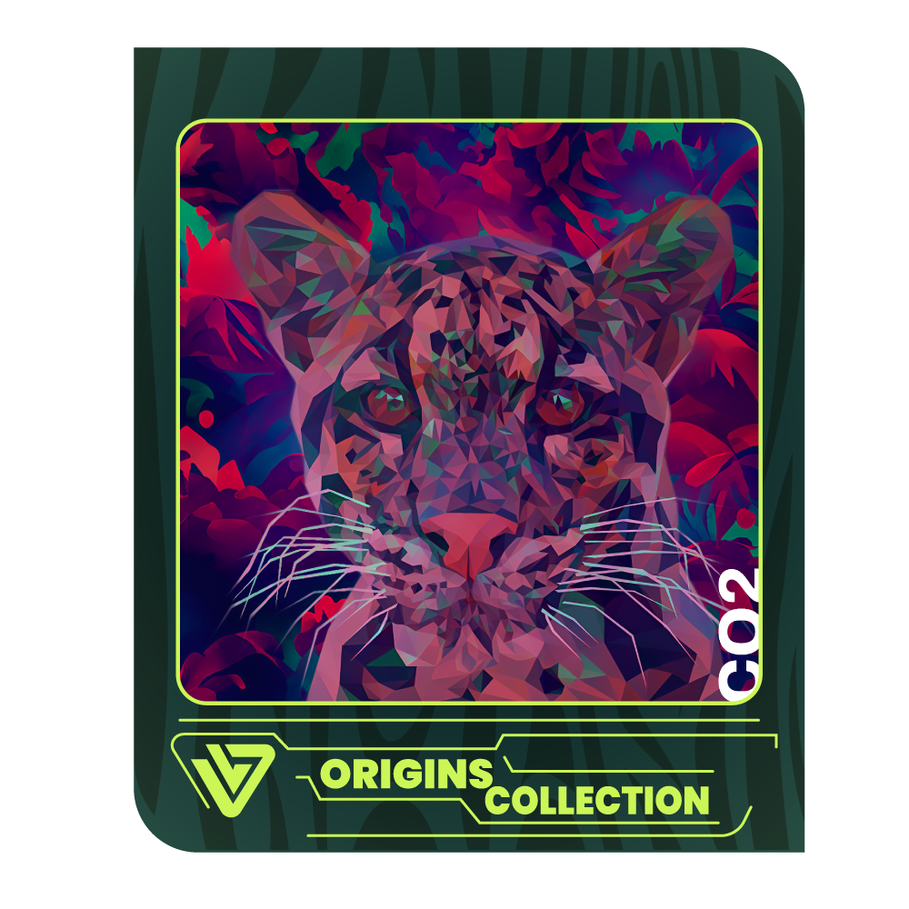 Likvidi Origins Collection gallery image