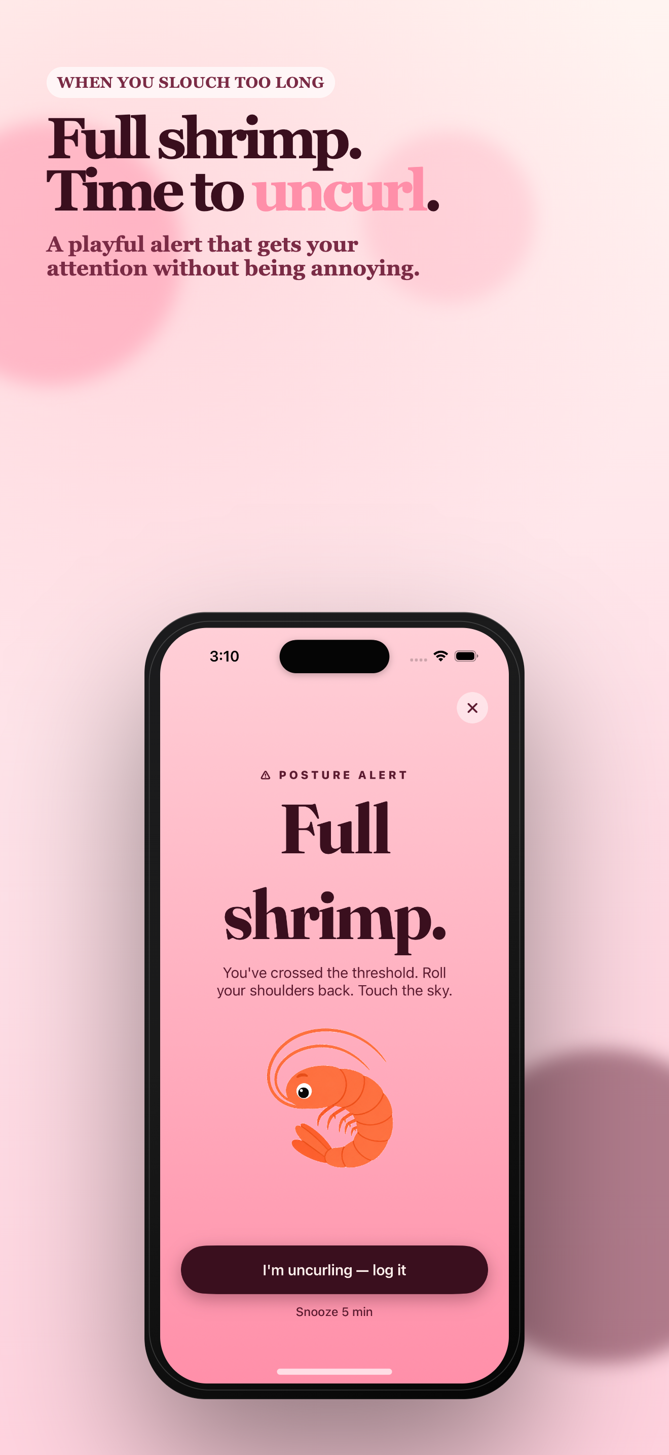 Shrimping gallery image