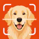 Dog Breed Identifier