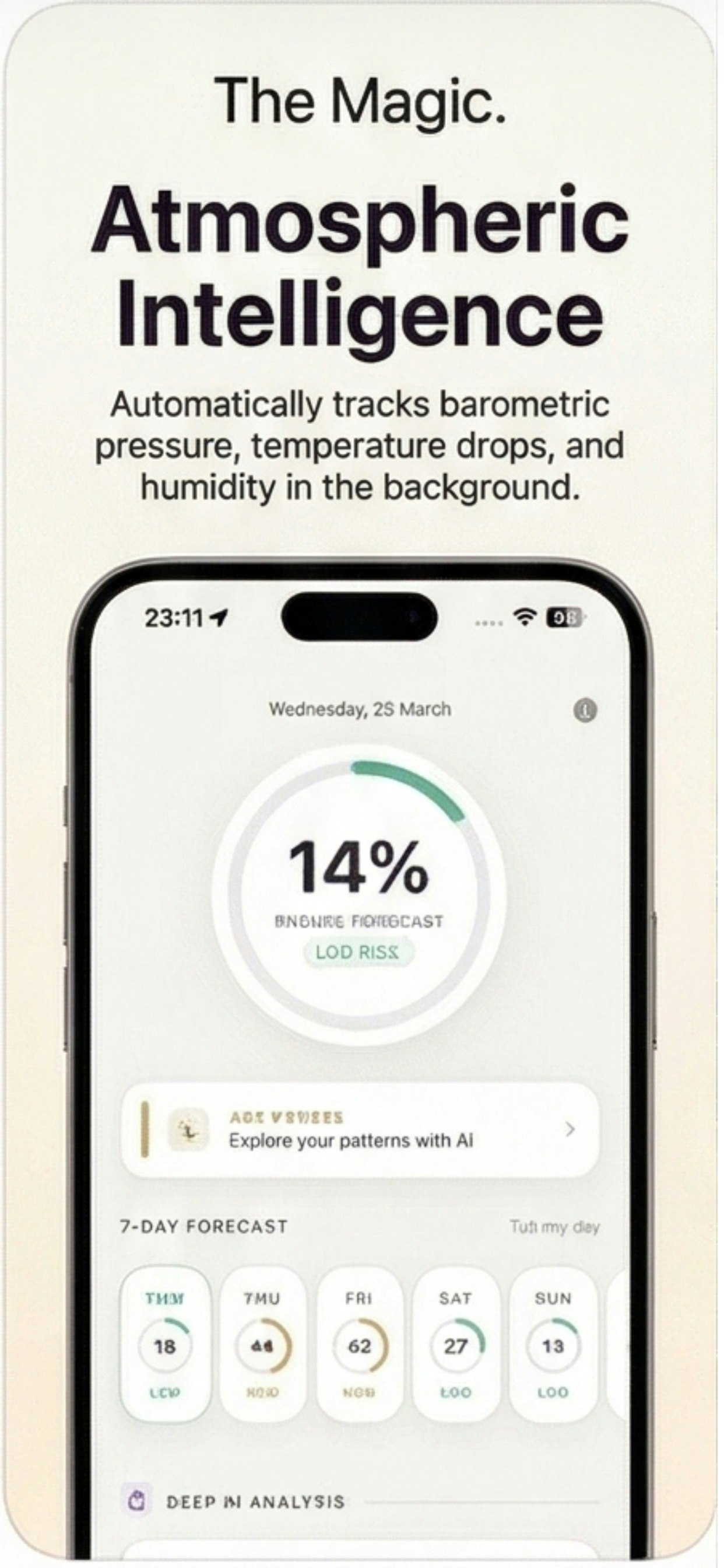 Phoebe gallery image