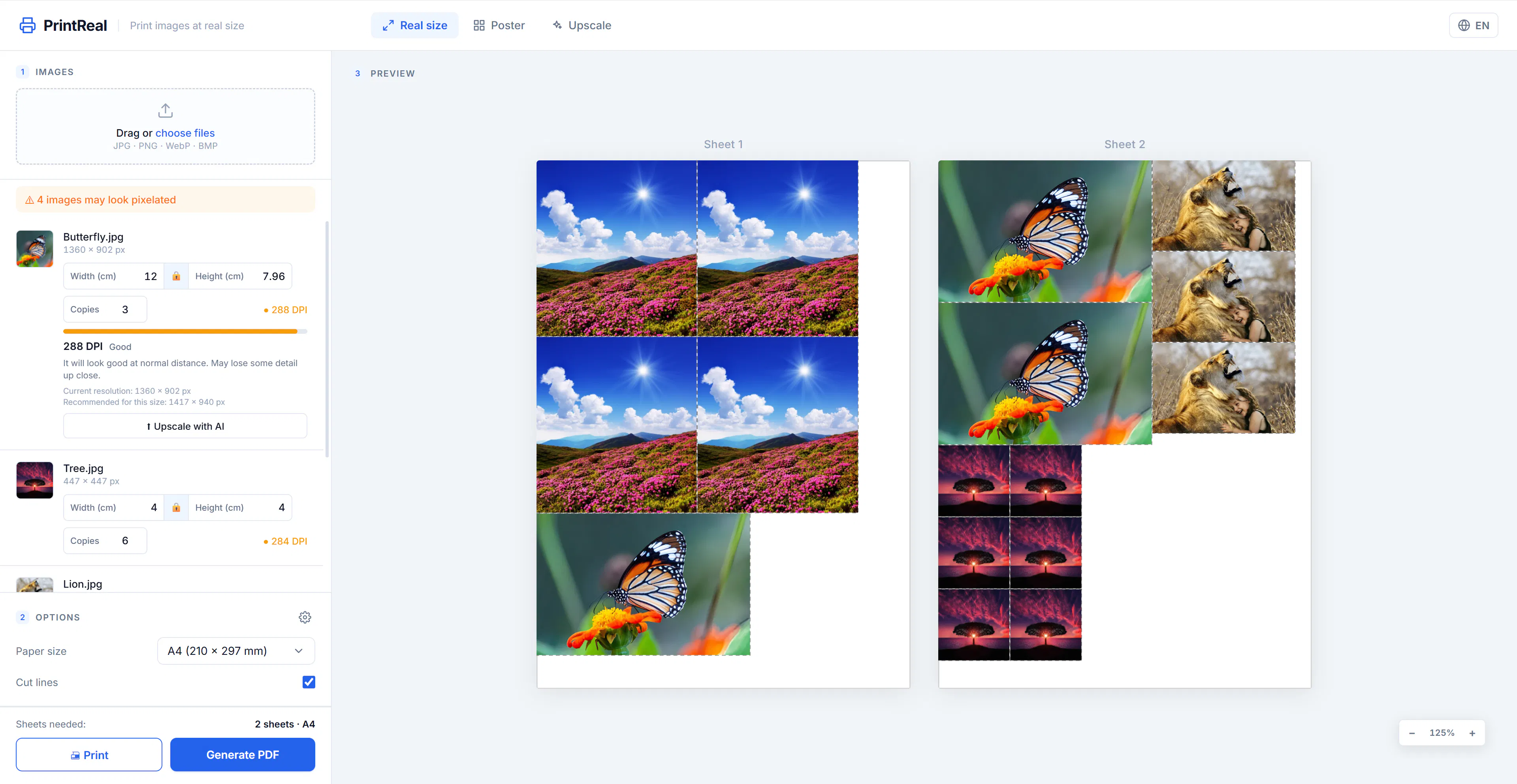 PrintReal gallery image