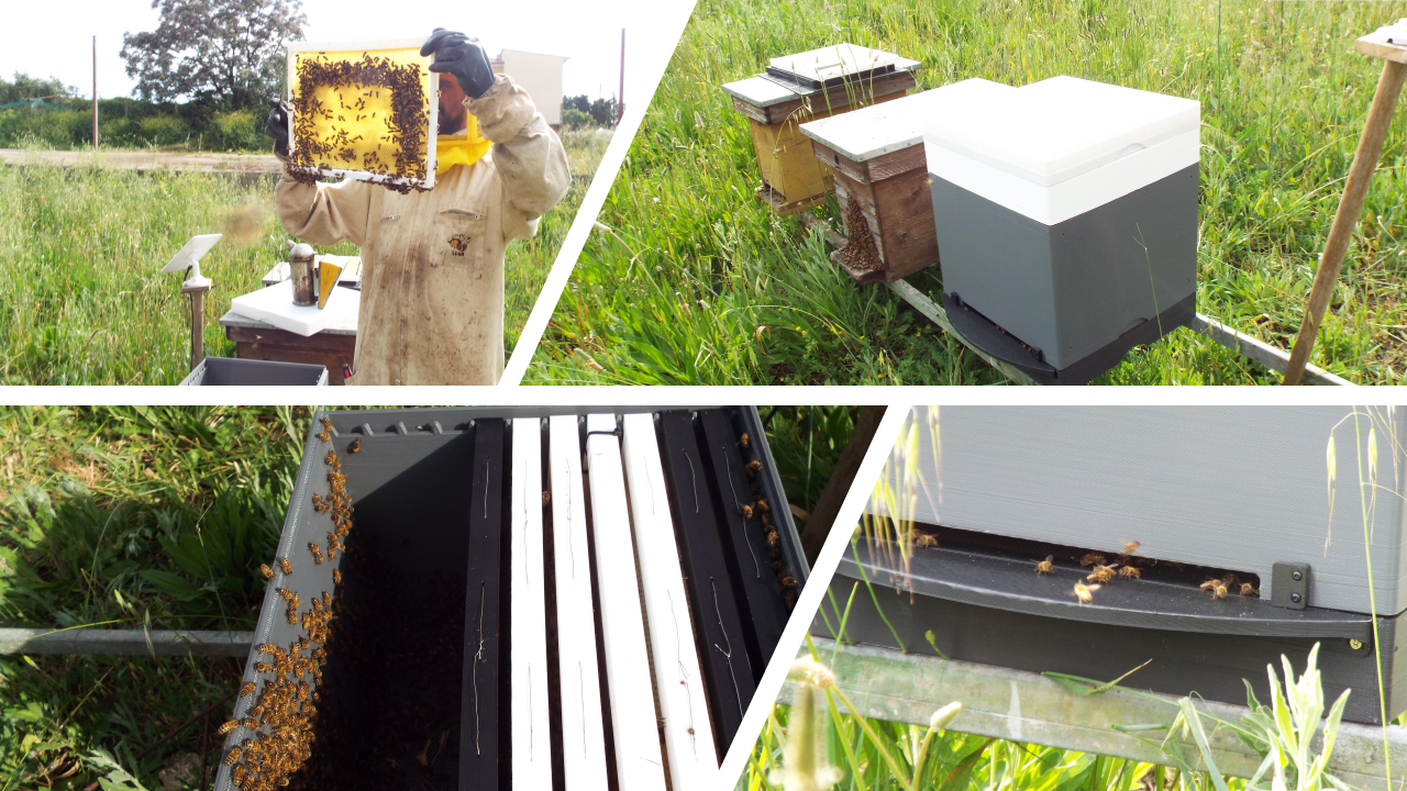 NectarNest gallery image