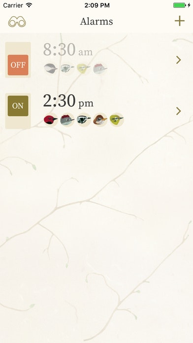 Dawn Chorus gallery image