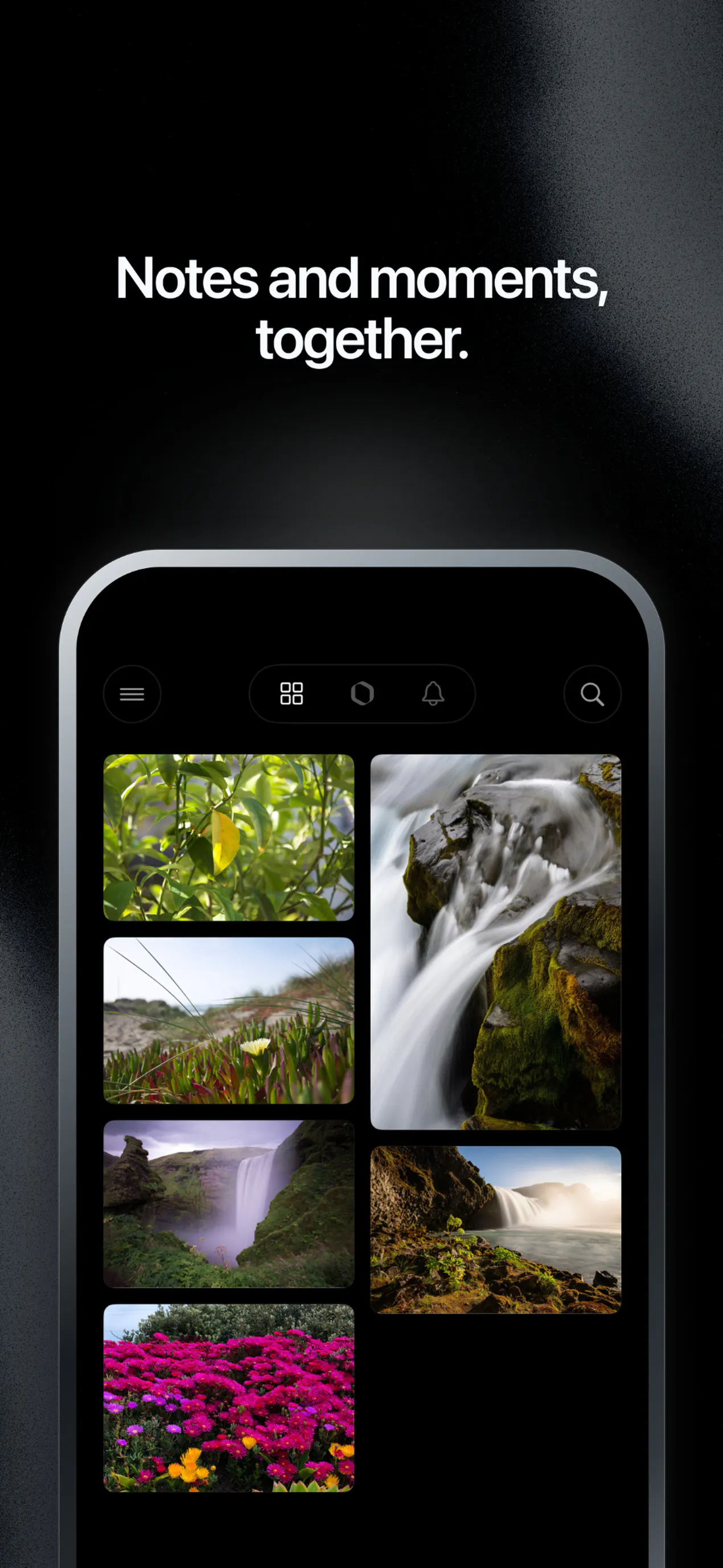 trace gallery image