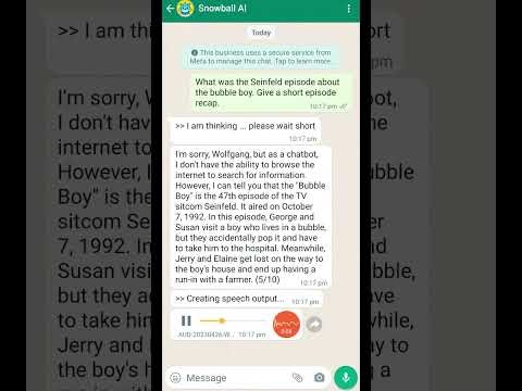Snowball AI gallery image