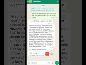 Snowball AI gallery image