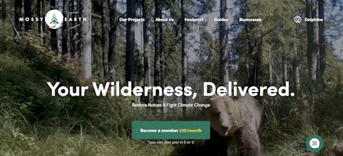 Mossy Earth gallery image