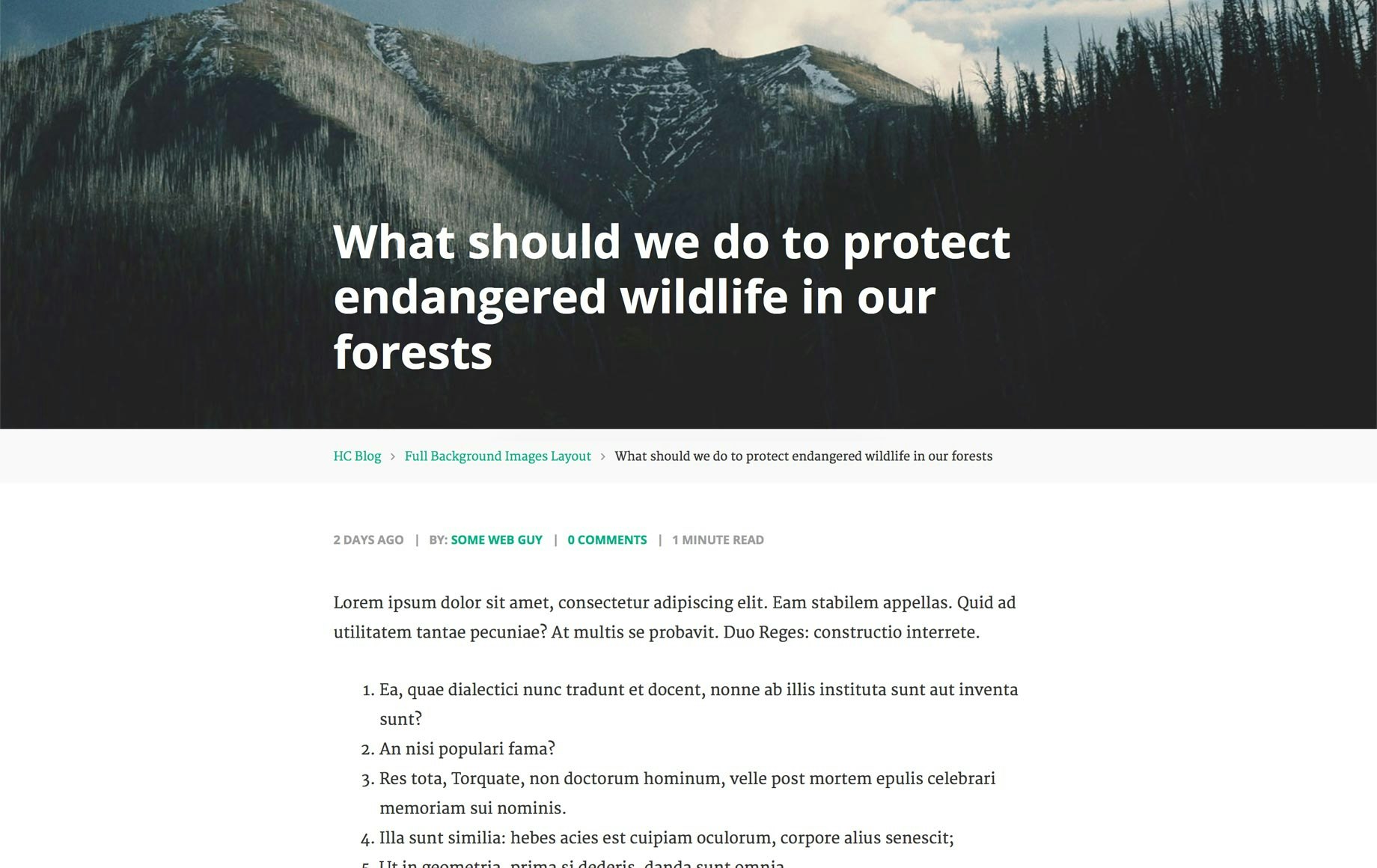 HC Blog gallery image