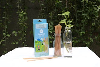 EQUO Rice, Coconut & Sugarcane Straws gallery image