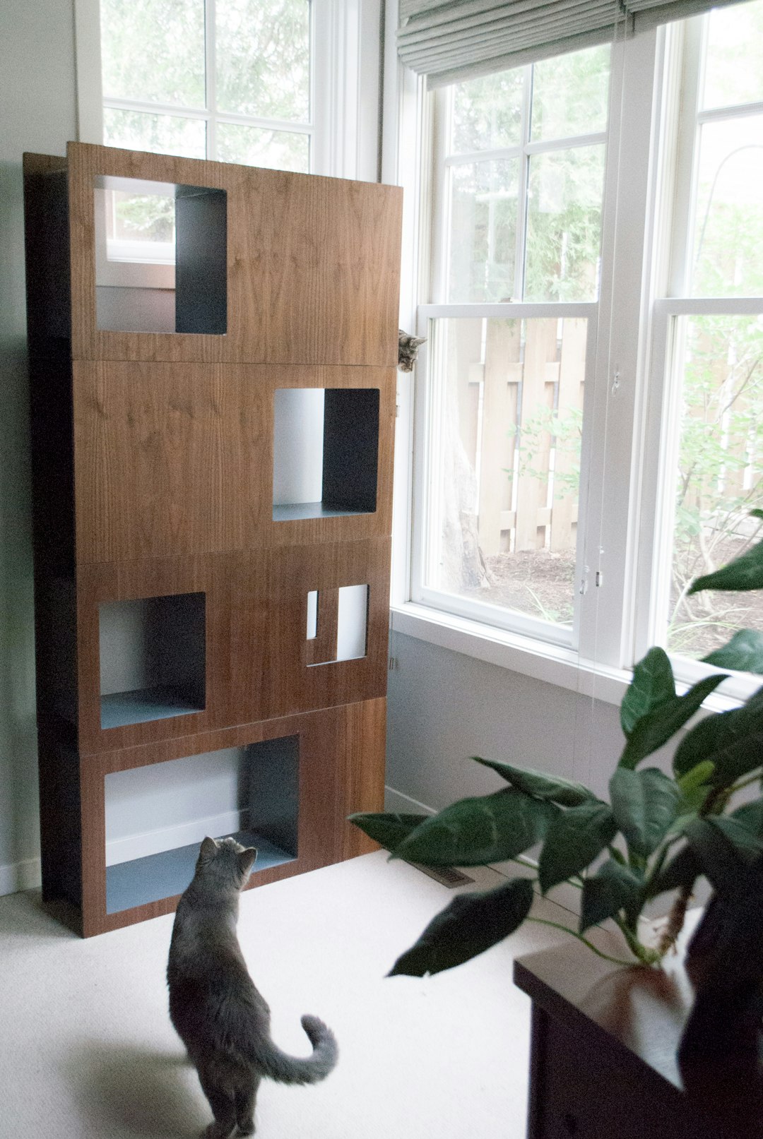 Cat Case on Kickstarter gallery image