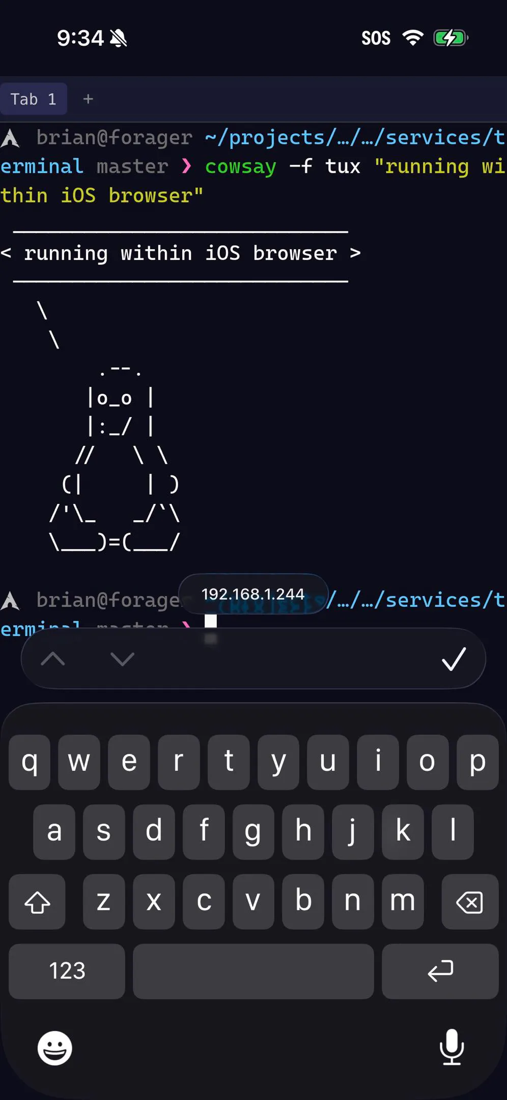 Omni Terminal gallery image