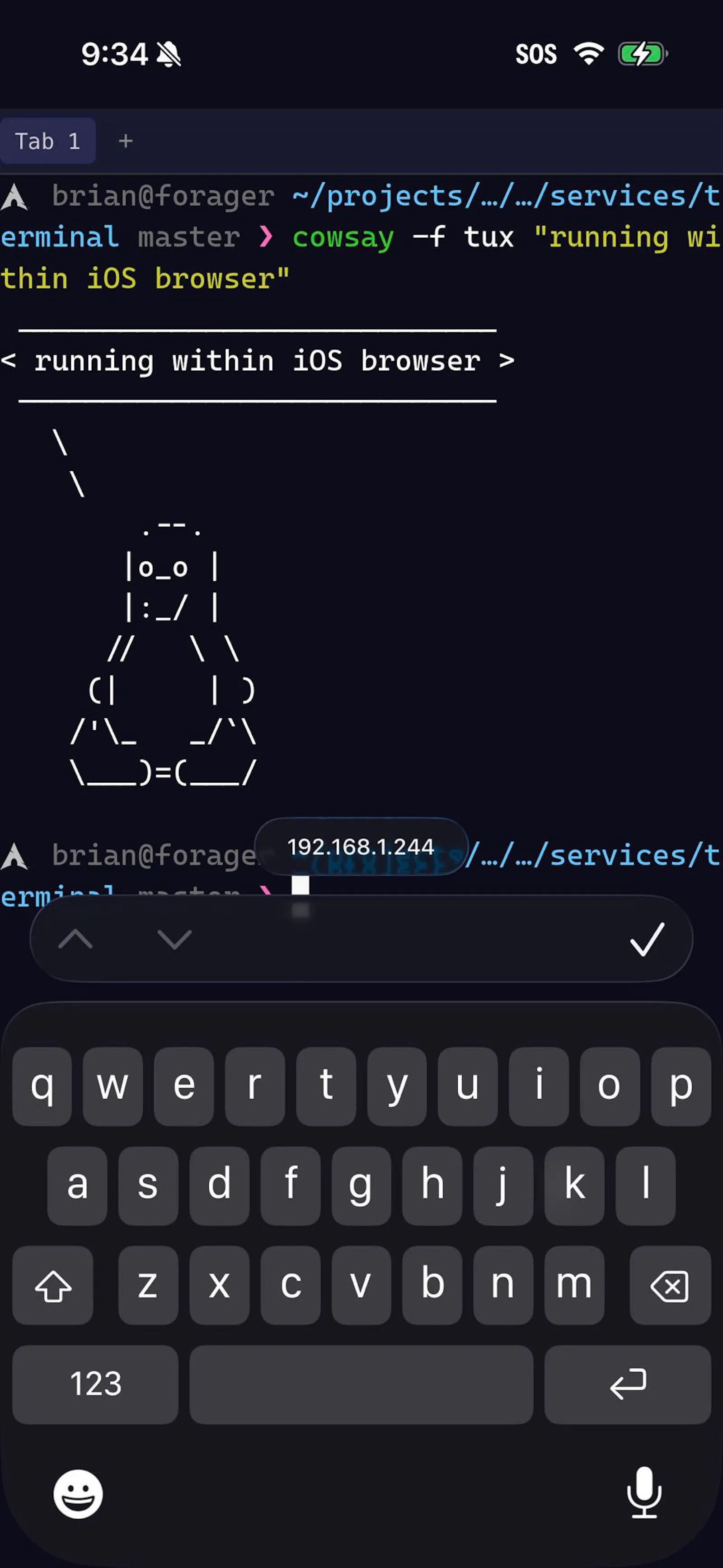 Omni Terminal screenshot 7
