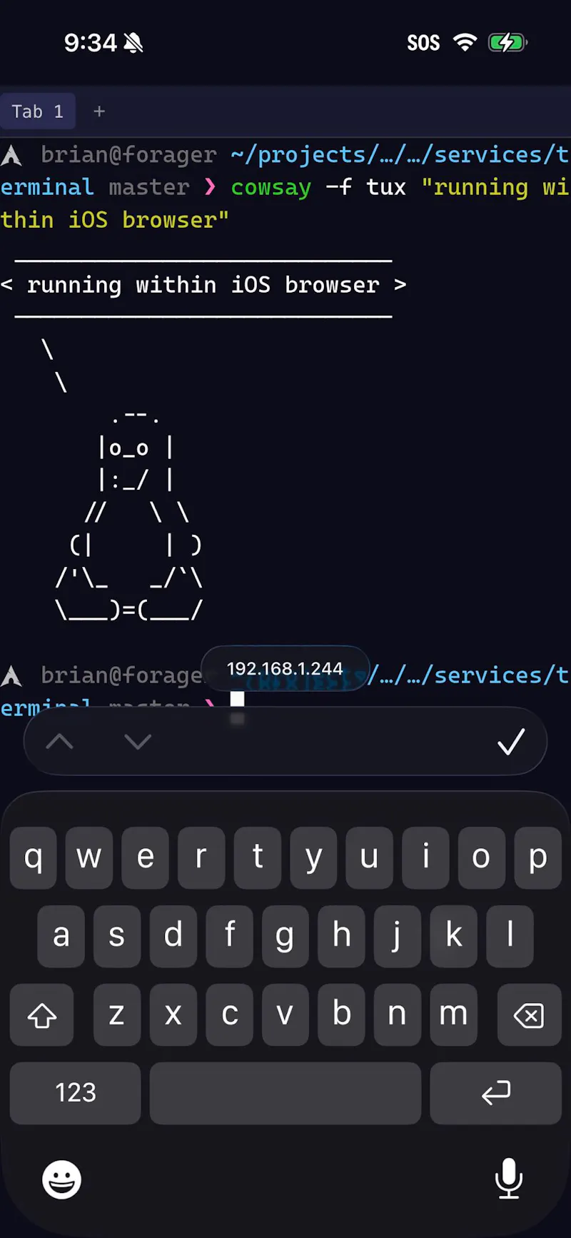 Omni Terminal screenshot 7