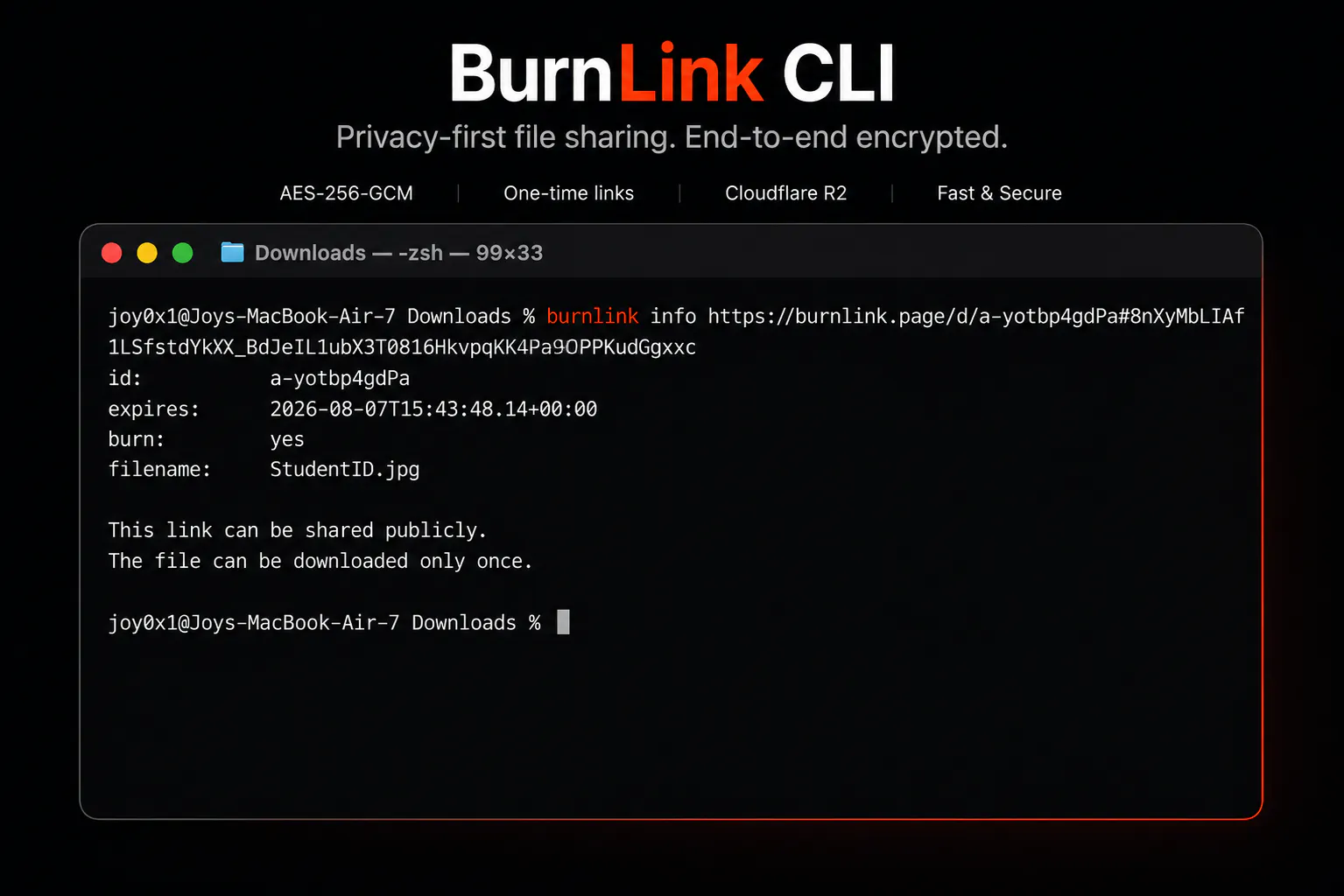 BurnLink CLI gallery image