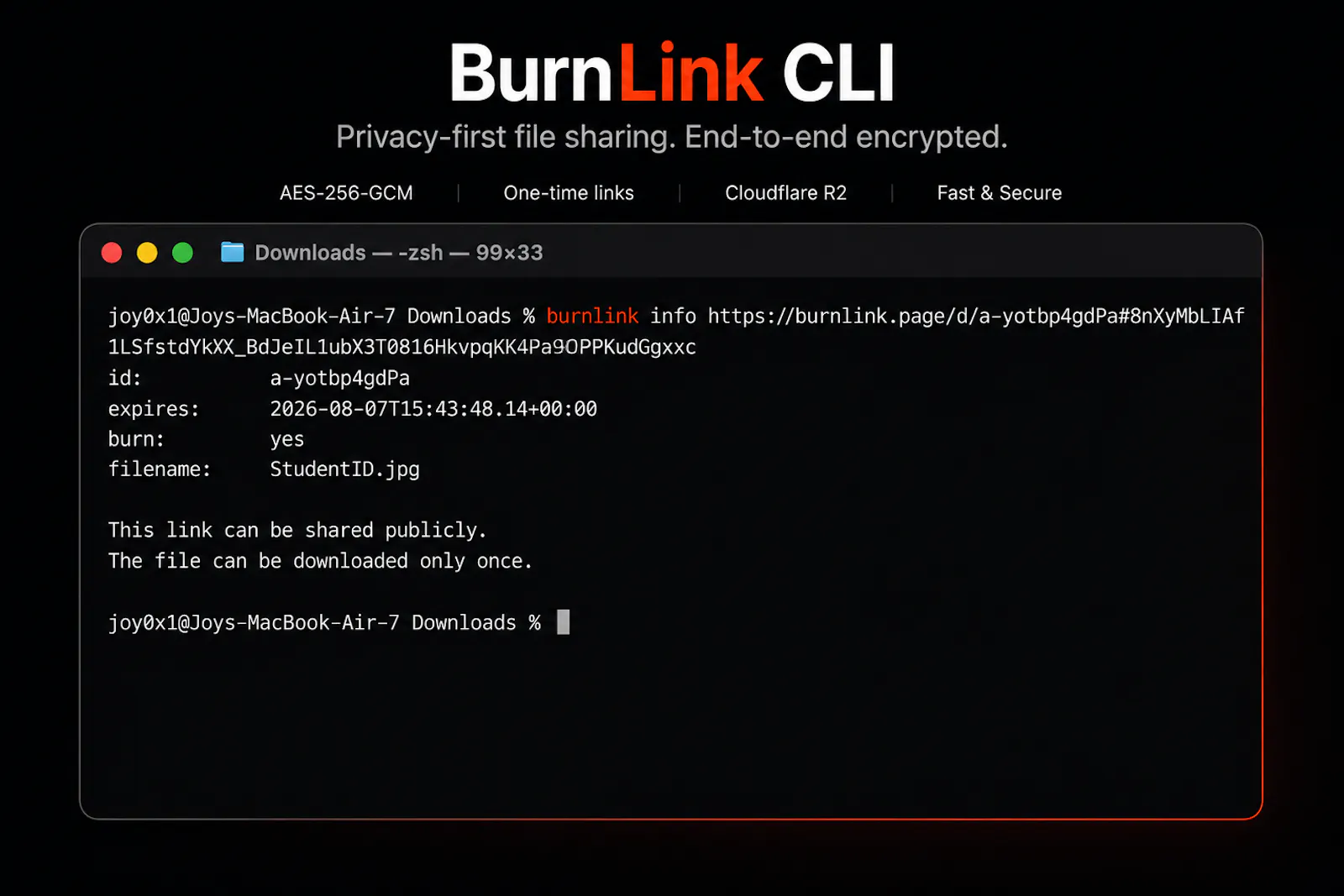 BurnLink CLI screenshot 4