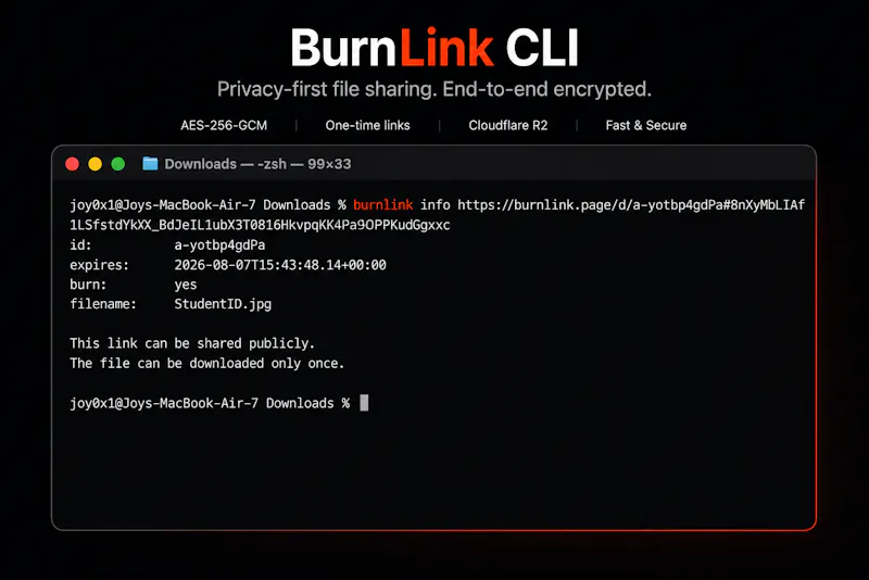 BurnLink CLI screenshot 4
