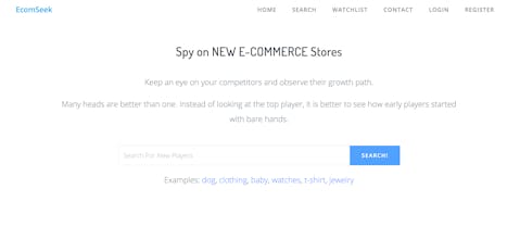 EcomSeek gallery image