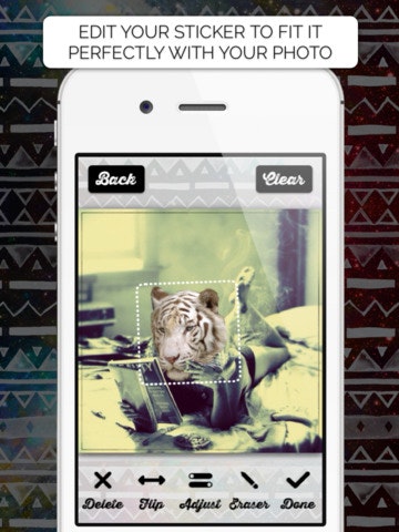 Animal Face gallery image