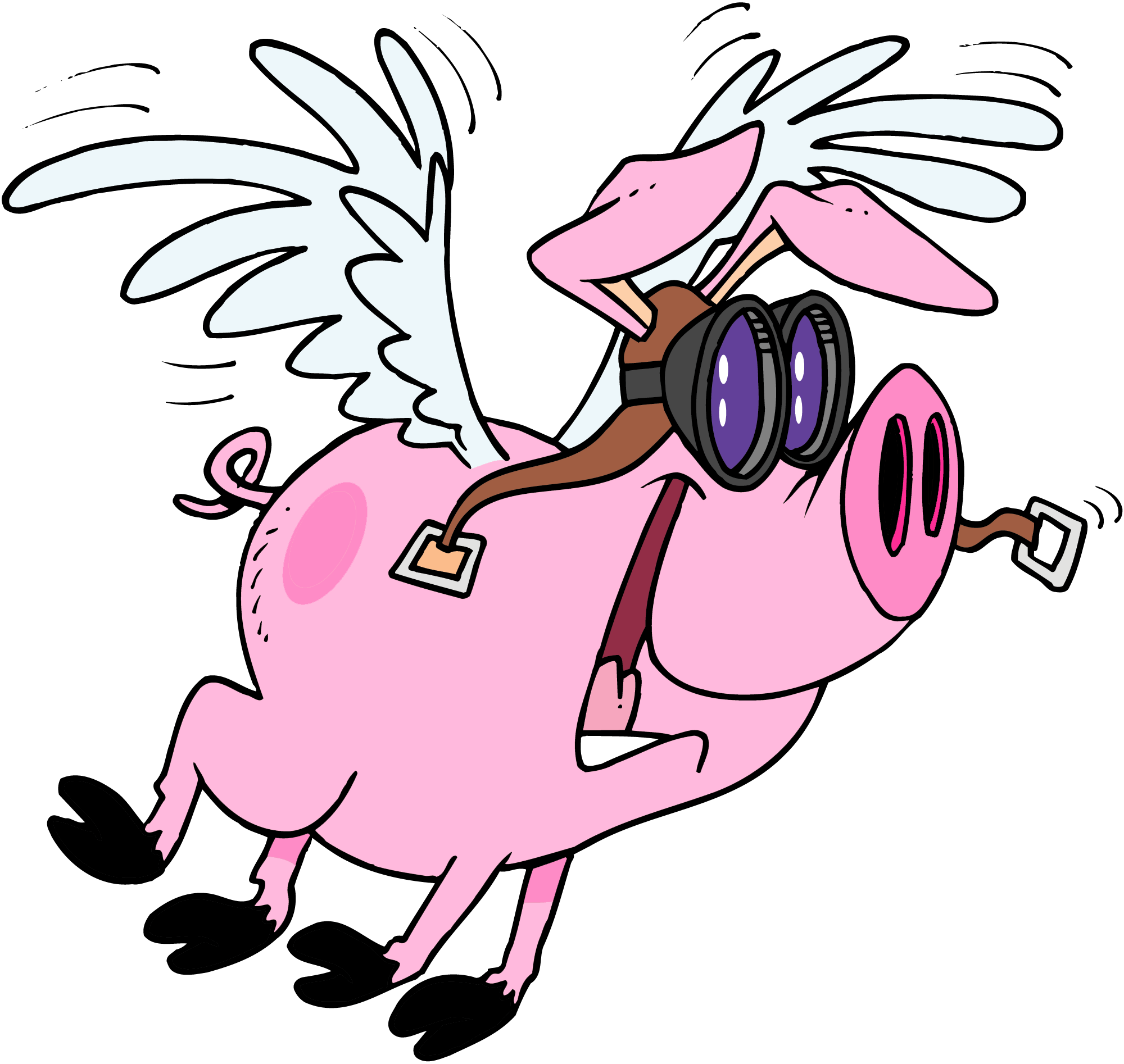 Skweel.com gallery image