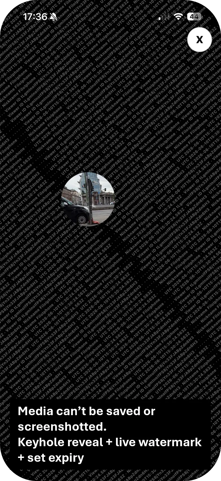 Sealr Chat gallery image