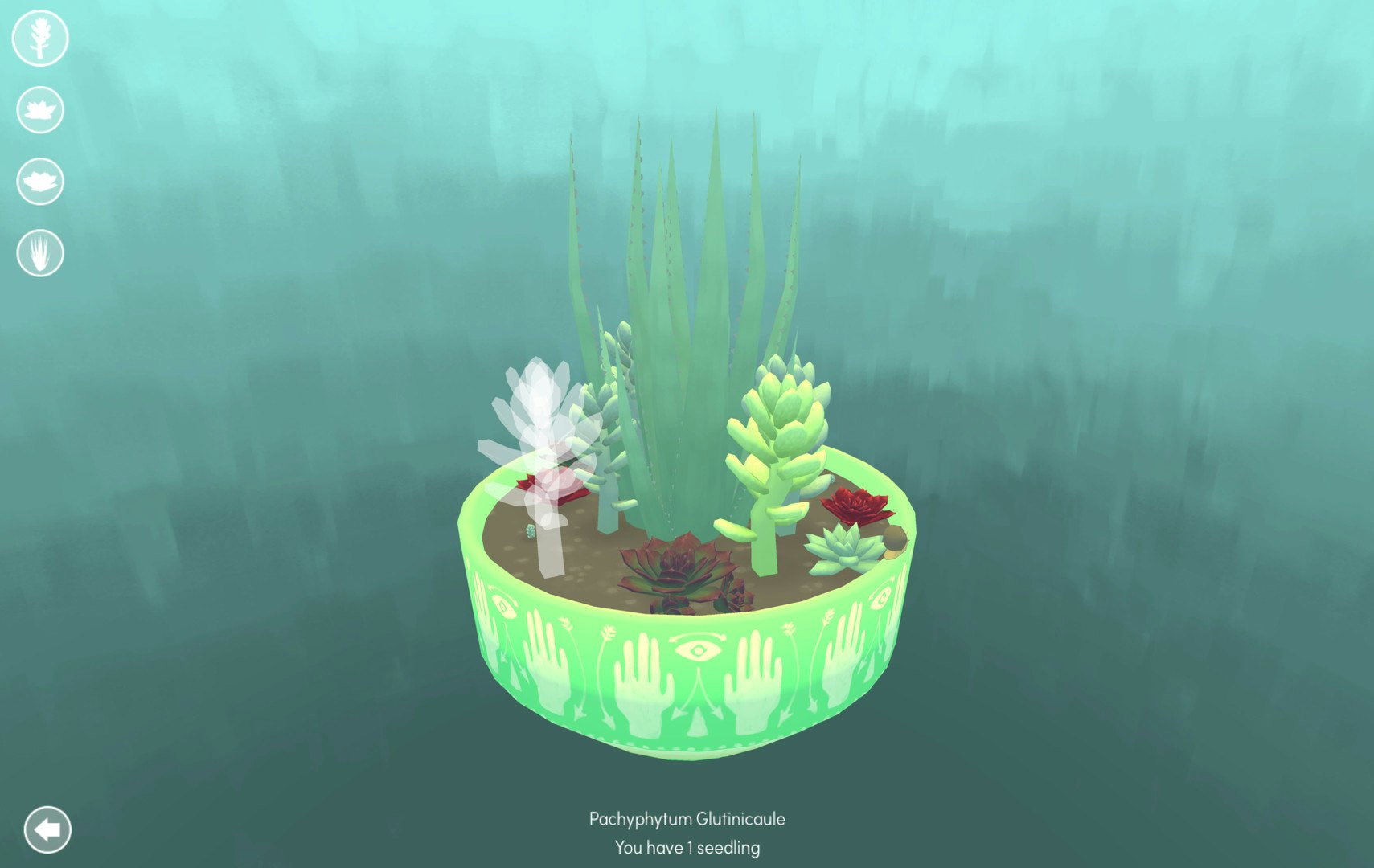 Viridi gallery image