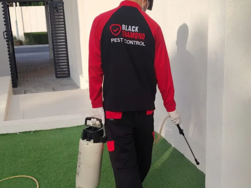 Pest control Abu Dhabi Services
