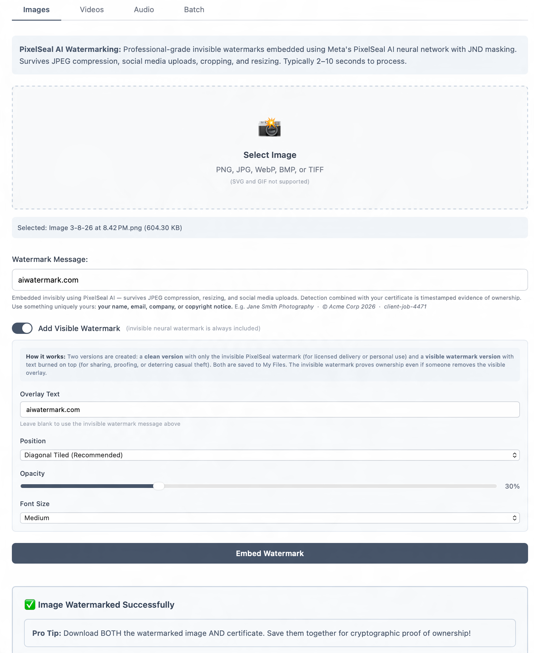 AIWatermark Invisible Neural Watermarks media 2